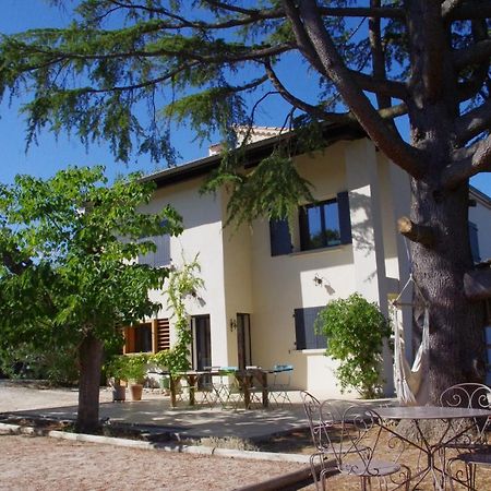 Le Grand Cedre - 2 Chambres D'Hotes - Sud Ardeche Bourg-Saint-Andéol Kültér fotó