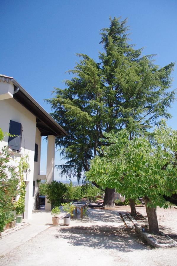 Le Grand Cedre - 2 Chambres D'Hotes - Sud Ardeche Bourg-Saint-Andéol Kültér fotó